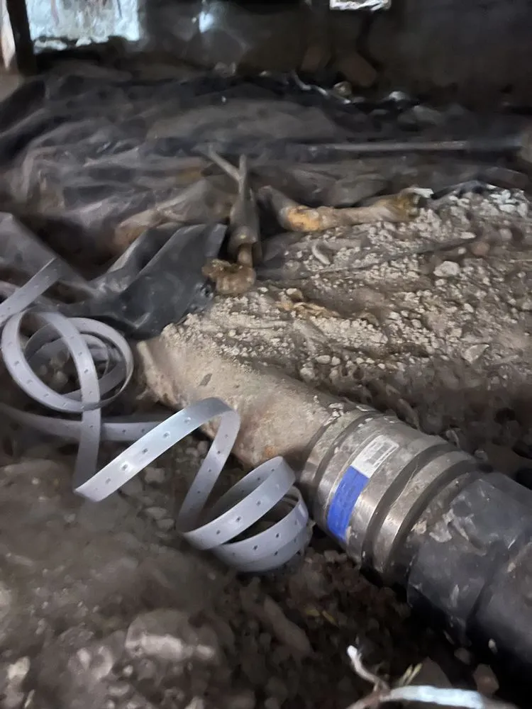 Expert emergency electrical service experts serving ,  - Action Plumbing, Heating, Air & Electric