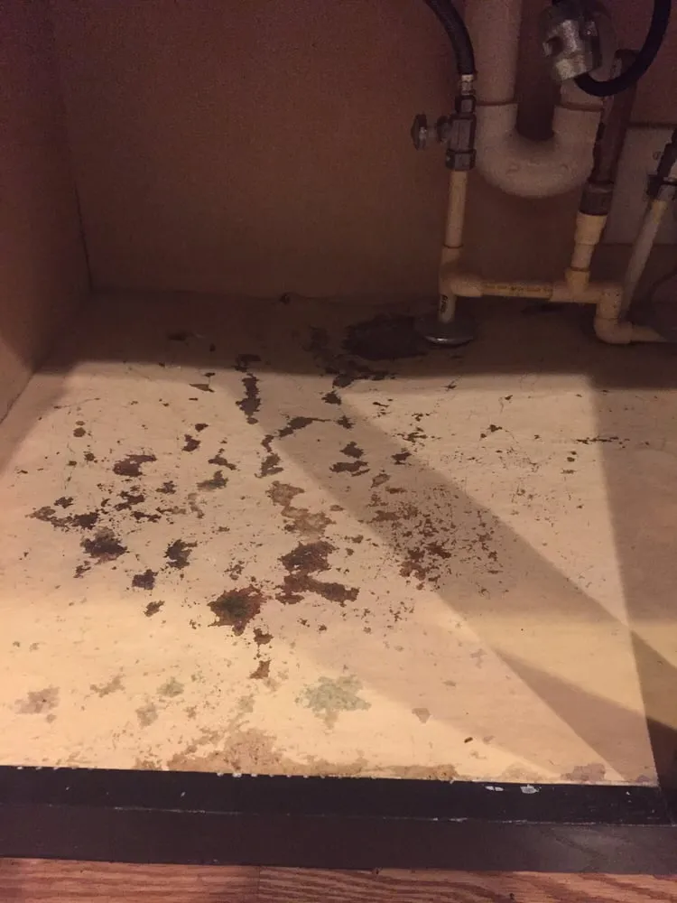 Emergency emergency electrical service in ,  by Action Plumbing Heating Air Conditioning and Electric