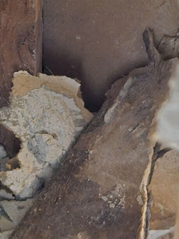 Slide of Action Plumbing Heating Air Conditioning and Electric