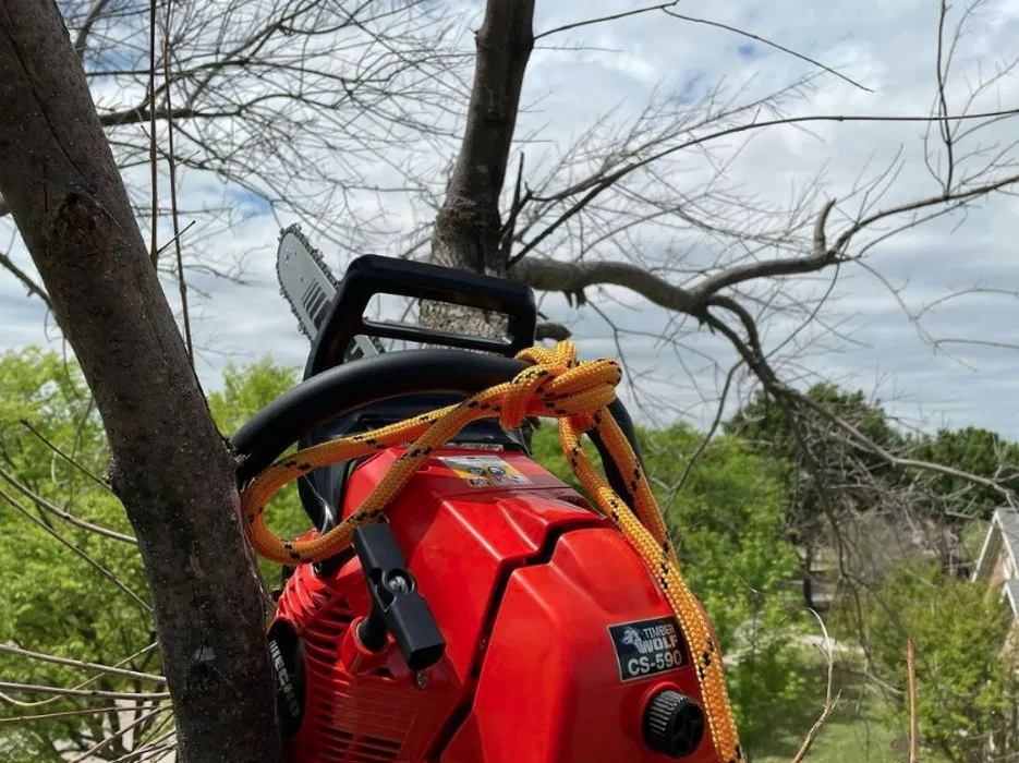 Slide of Acuna Services