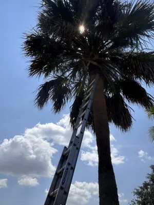 A&D All Solutions Logo