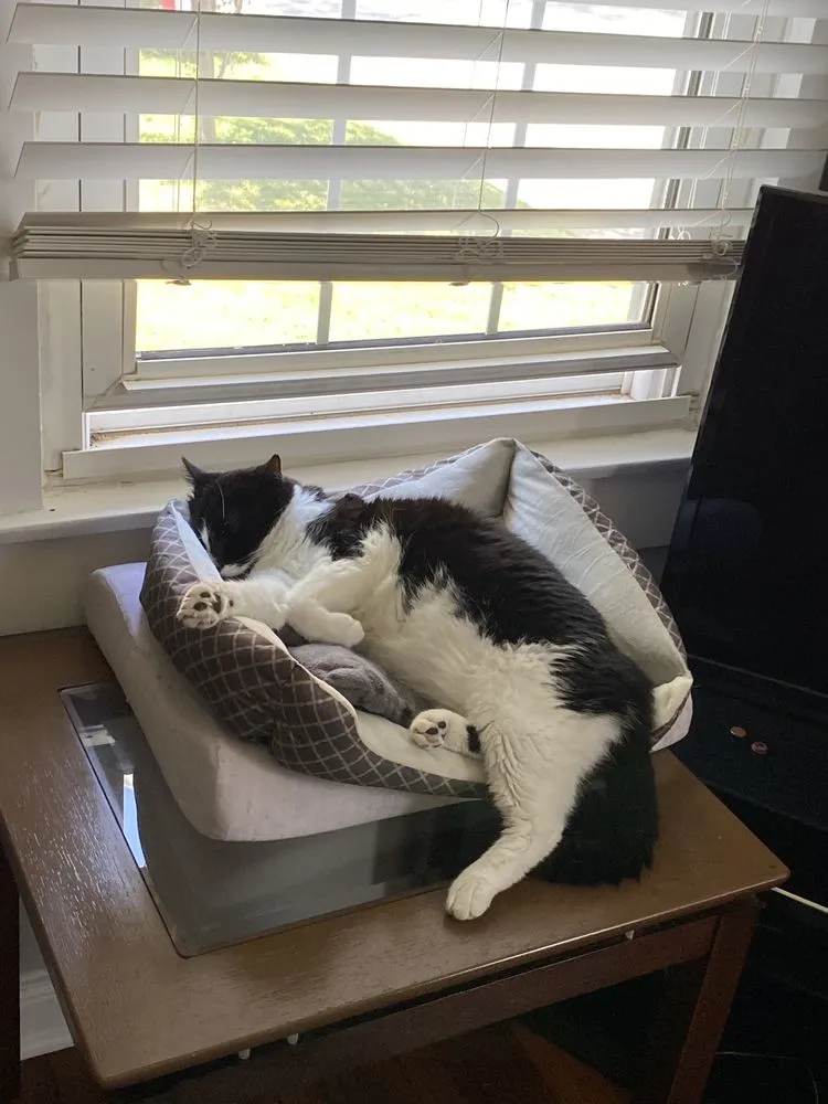 Slide of Adam's Painting & Handyman Services