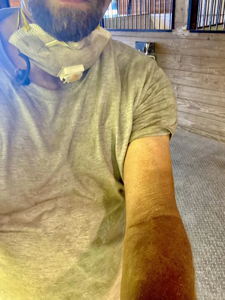 Certified electrical repair service in ,  - Adam's Painting & Handyman Services