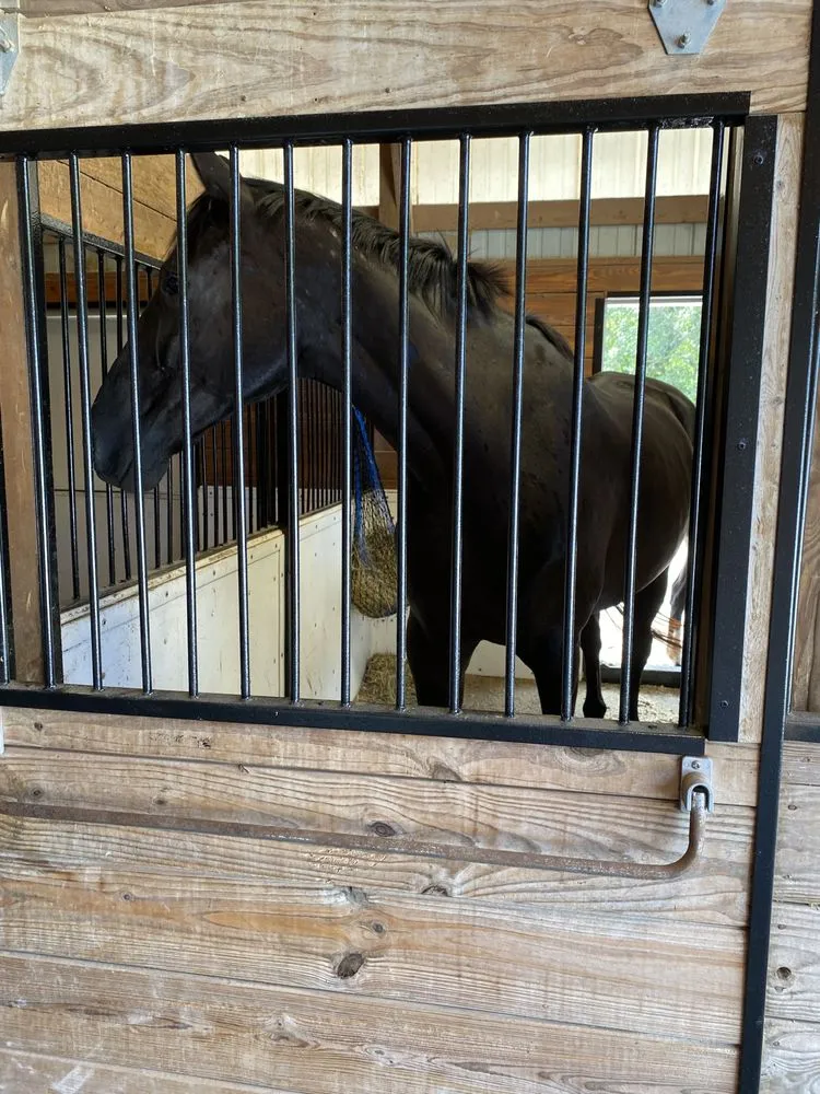 Slide of Adam's Painting & Handyman Services