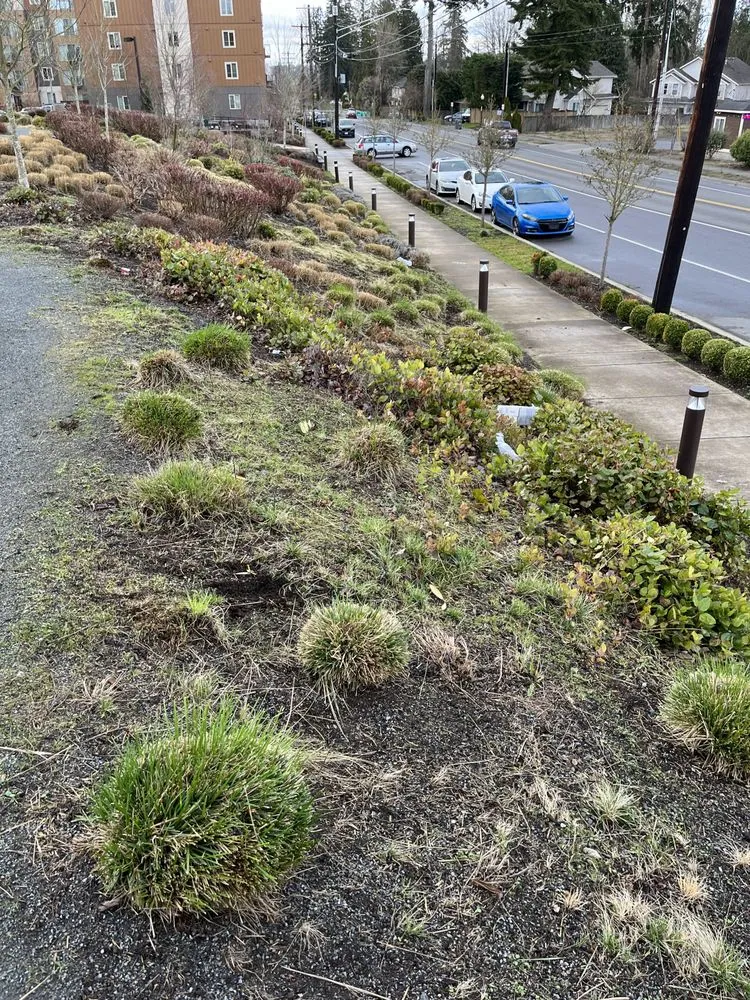 Slide of Adapt Electric