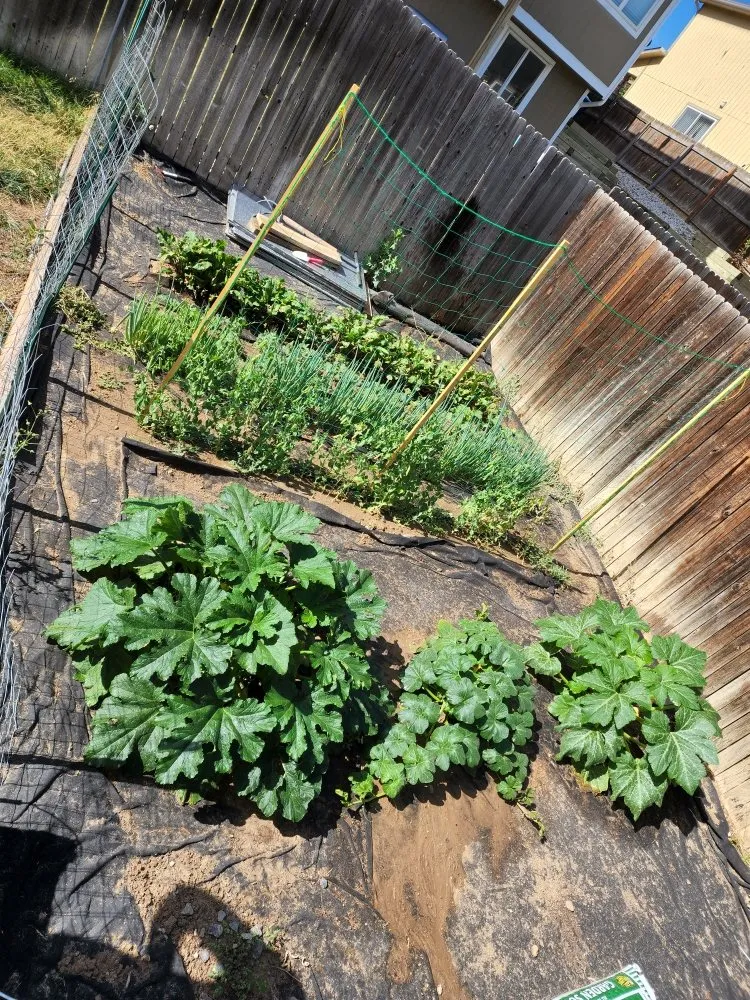 Slide of ADJ Electric Service