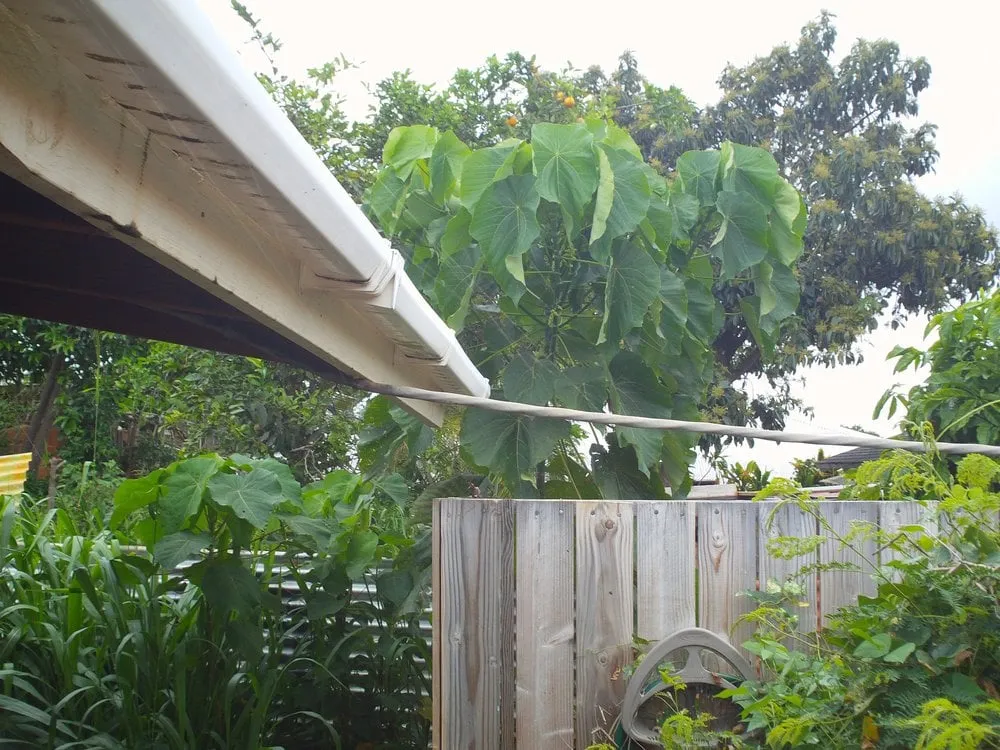 Certified wiring installation in ,  by Advanced Electrical Solutions