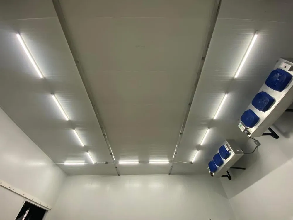 Reliable electrician providing wiring installation in , 