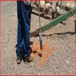 Slide of Affordable Electric