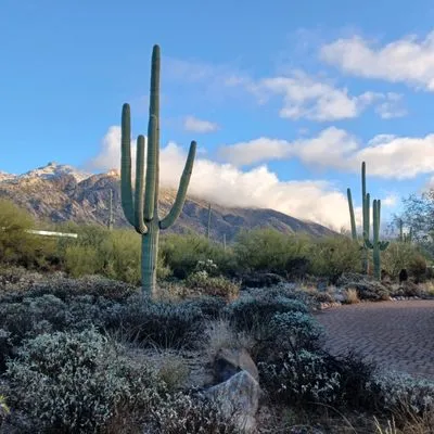 Affordable Electricians Logo