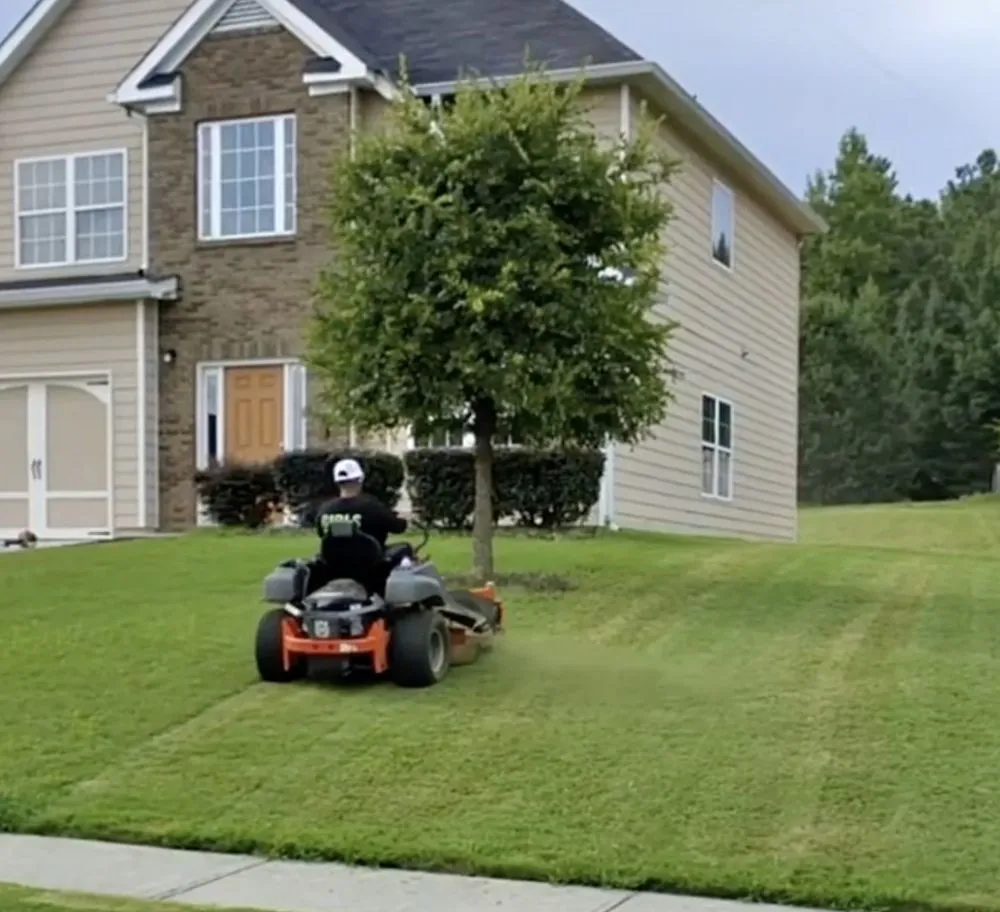Trusted lighting installation service in Douglasville, GA - Affordable Lawn And Power
