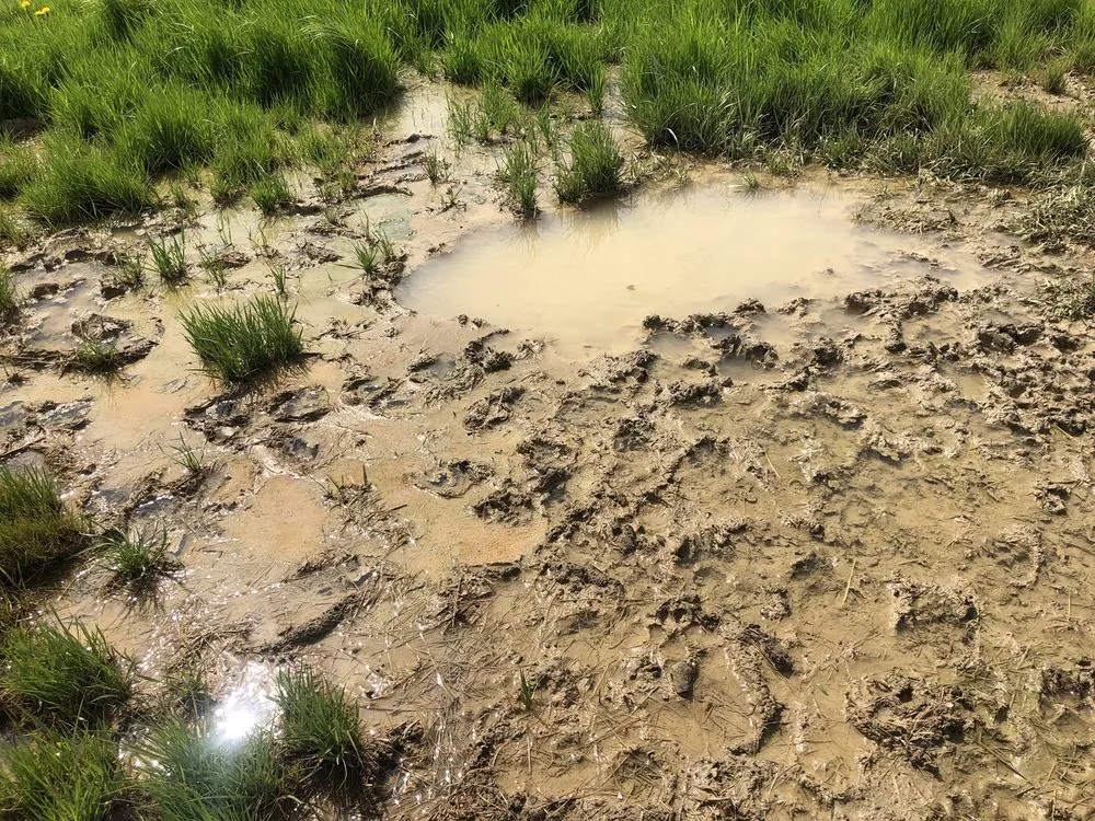 Slide of Affordable Plumbing And Construction