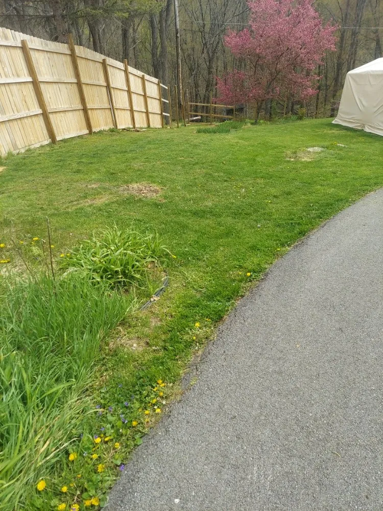 Slide of Affordable Upgrades