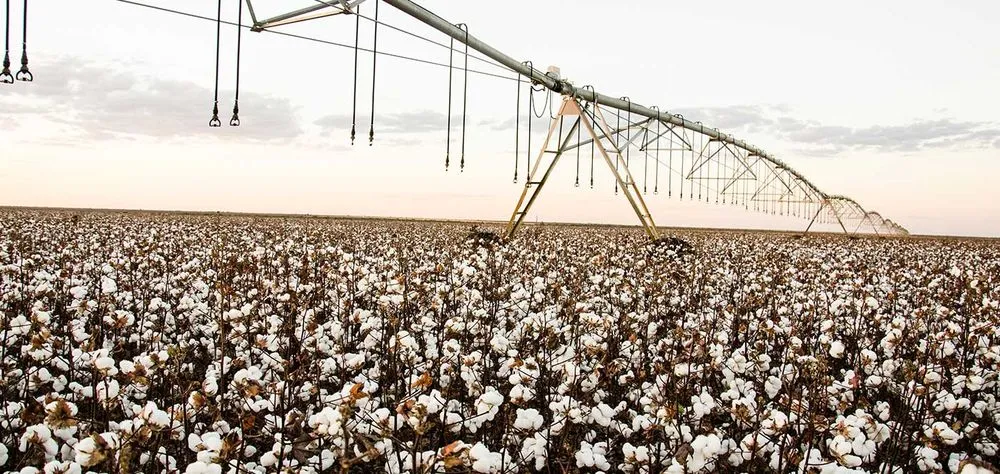 Slide of Ag Electrical