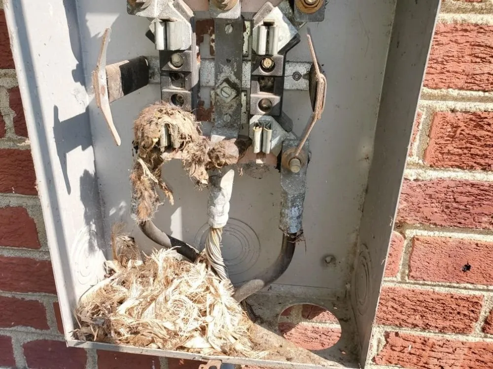 Slide of AG Electrical Services