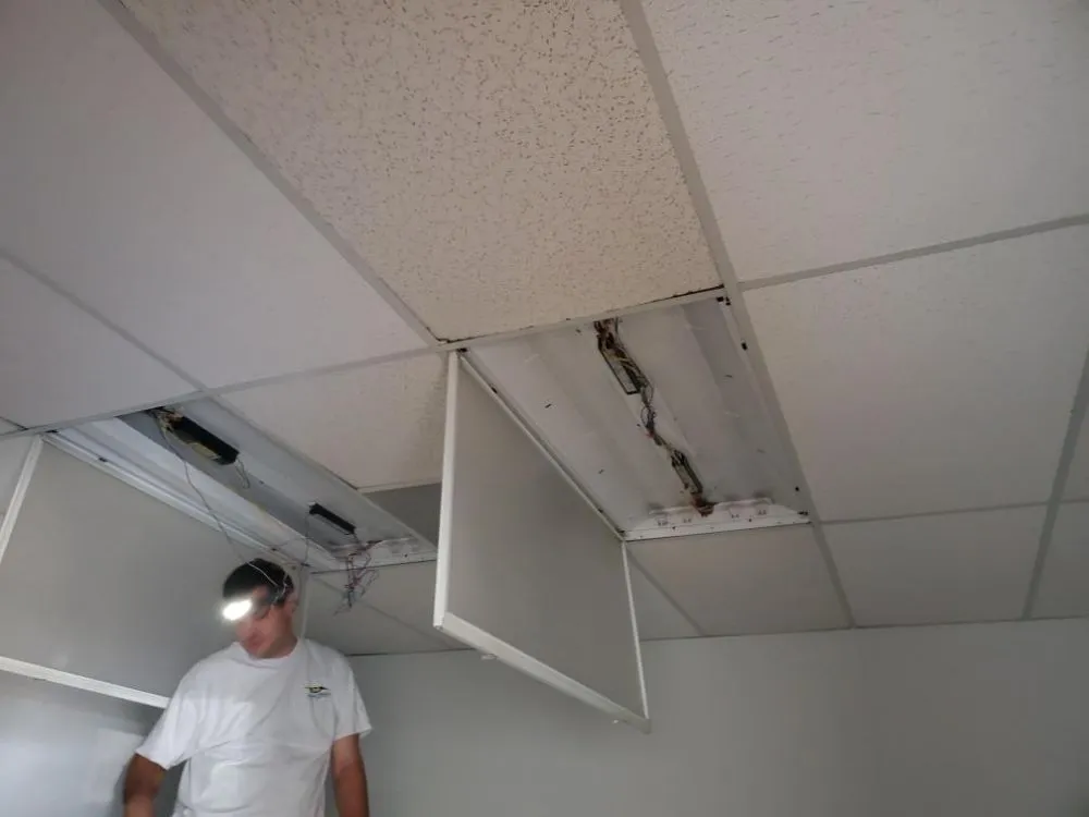 Certified electrical service for homes in outlet and switch repair, by