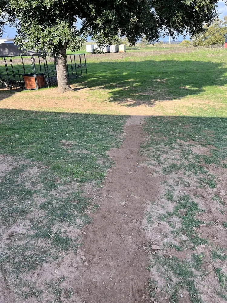 Slide of Aim High Electric