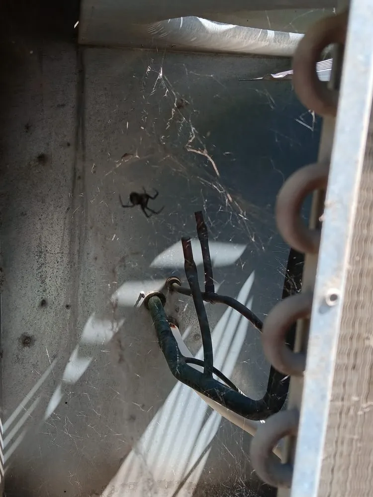 Slide of Air Force One