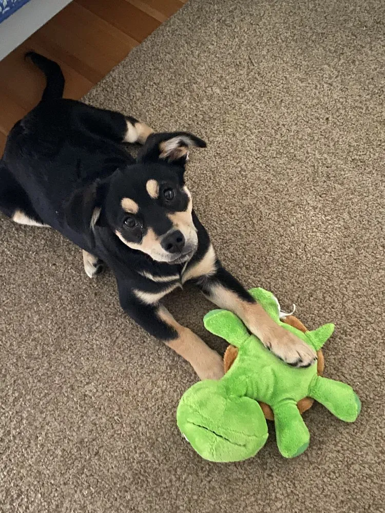 Slide of Air Stars Heating, AC, Plumbing & Electrical