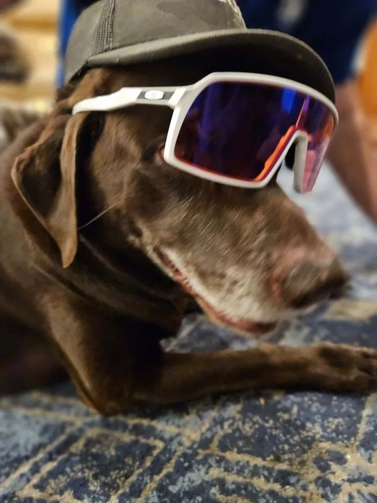 Slide of Airgenx Clean Climate Solutions