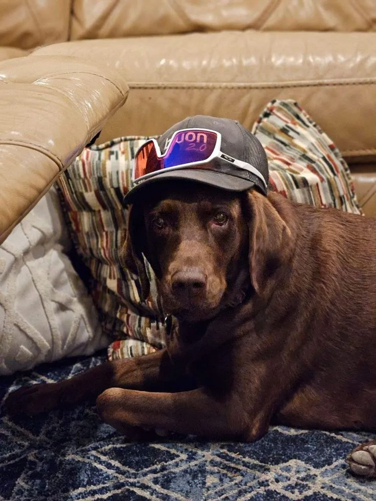 Slide of Airgenx Clean Climate Solutions