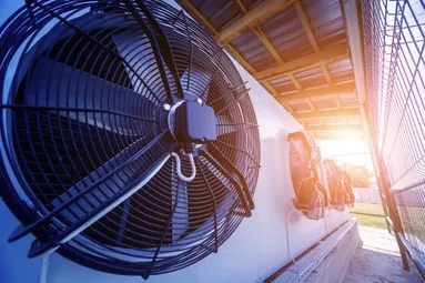 Slide of Airology of MS