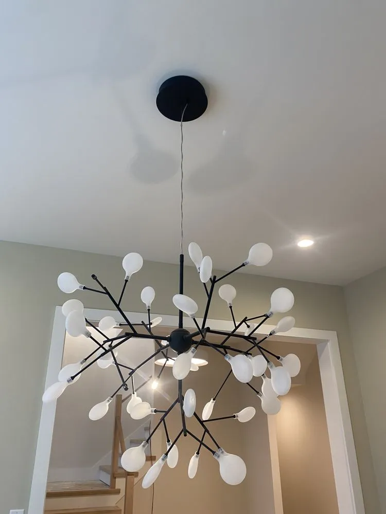 Slide of Alade Electric