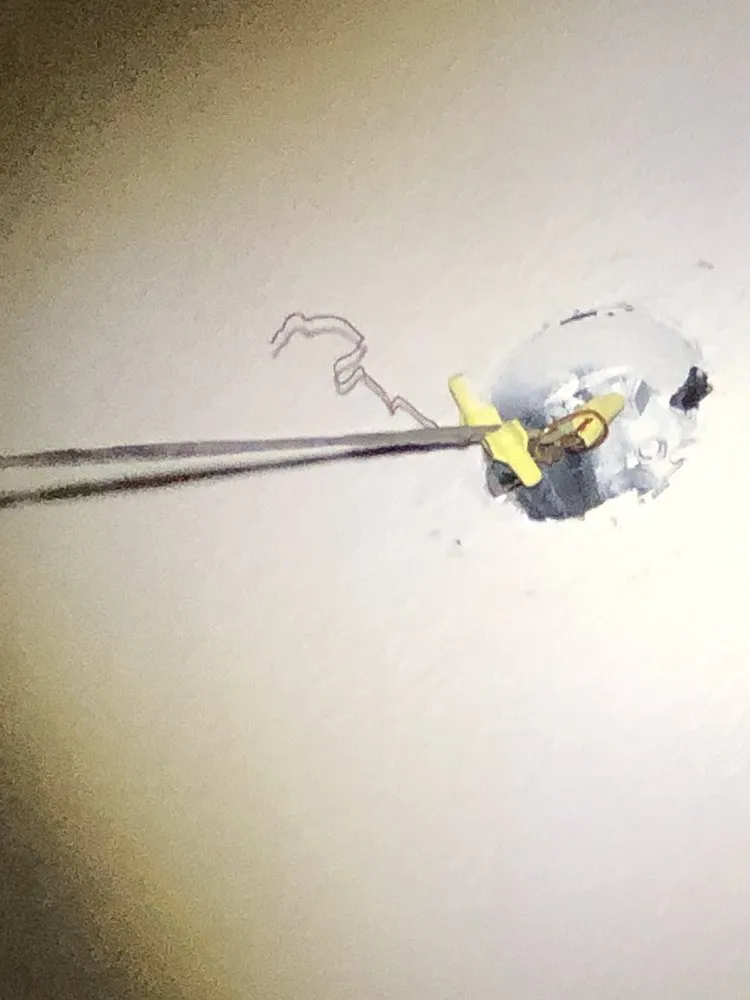 Slide of Alamo City's Elite Electric