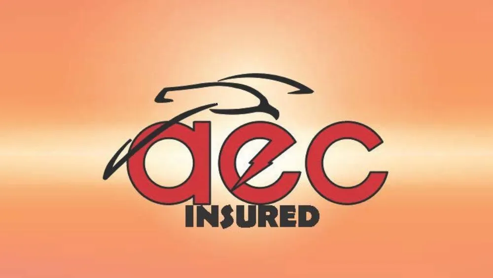 Slide of Albatross Electric Company