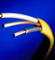 Slide of Albert Electric.