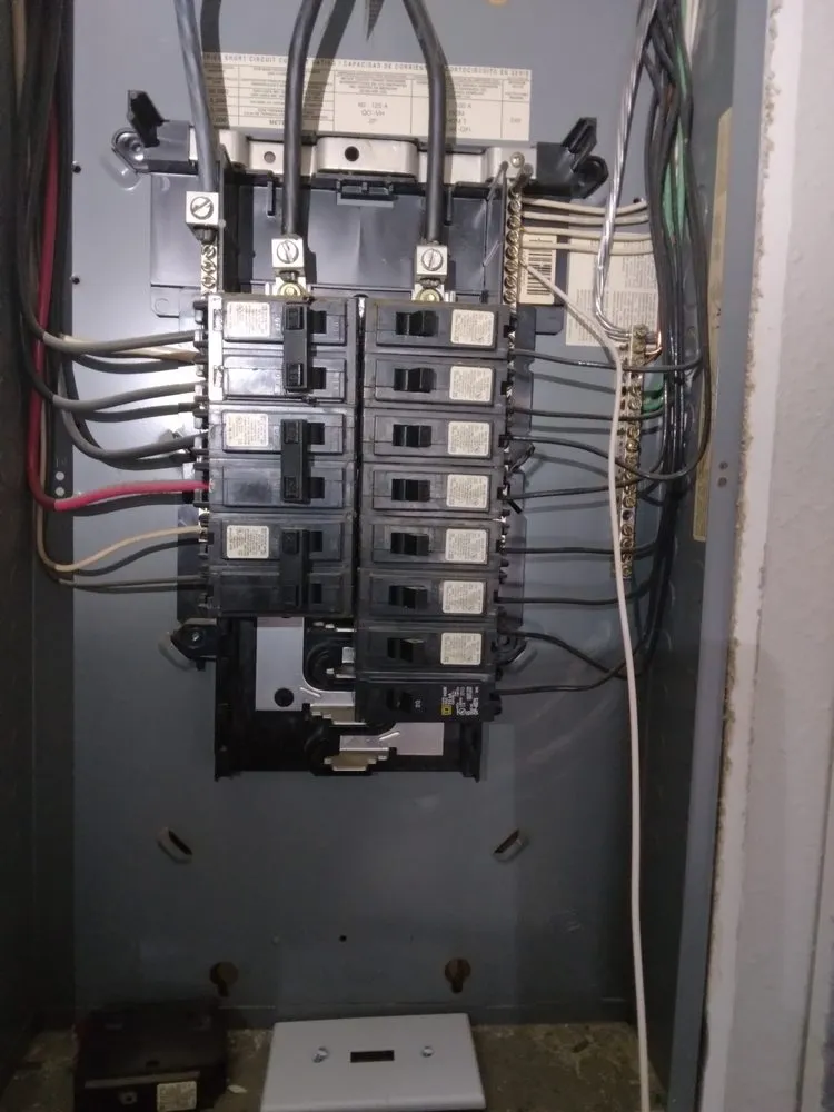 Slide of Albizo Electric