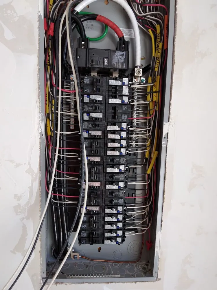 Slide of Albizo Electric