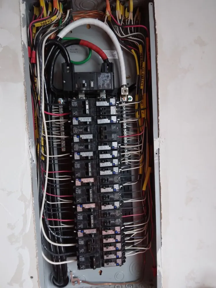 Slide of Albizo Electric