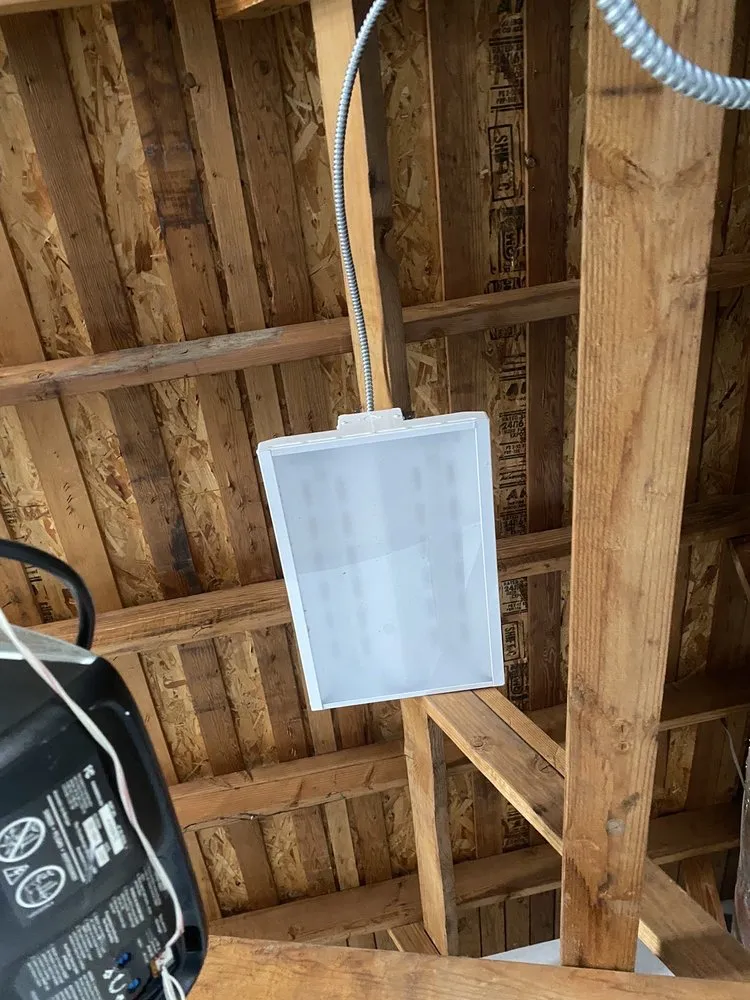 Slide of Alessandro Electric