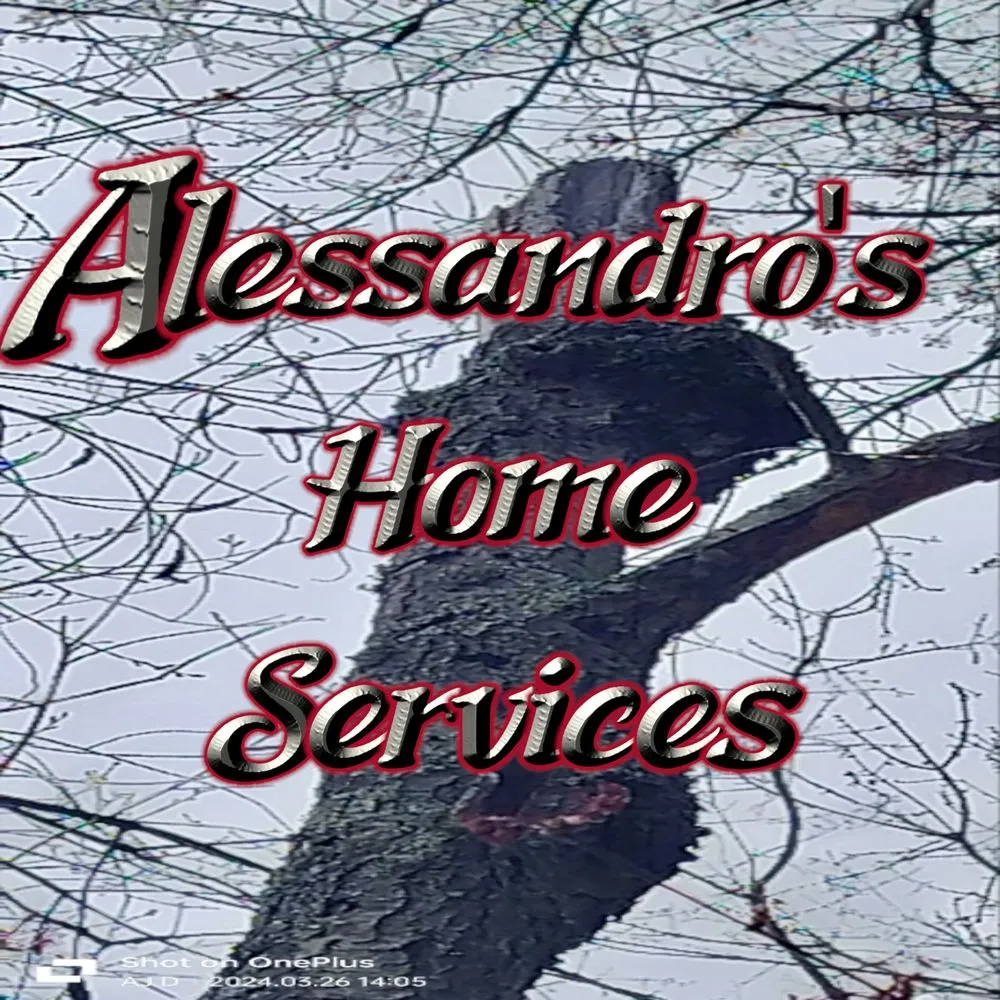 Slide of Alessandro's Home Services