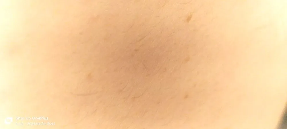 Slide of Alessandro's Home Services