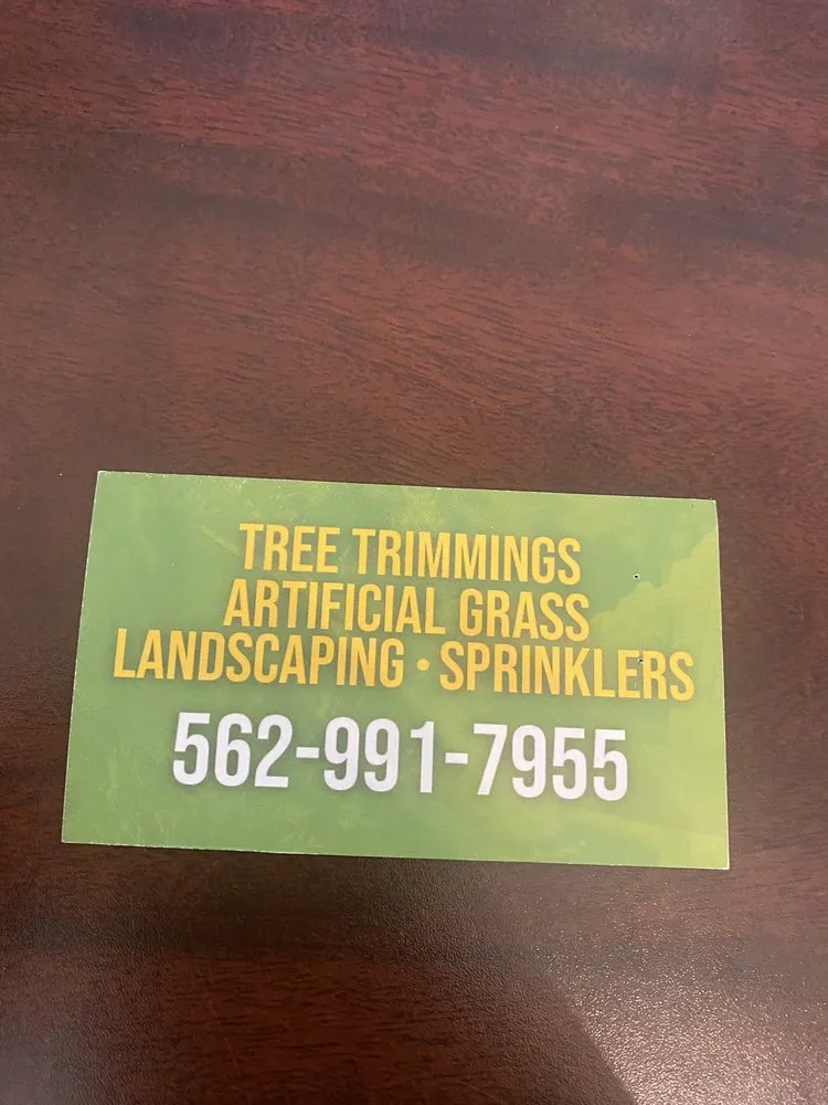 Slide of Alex La Construction