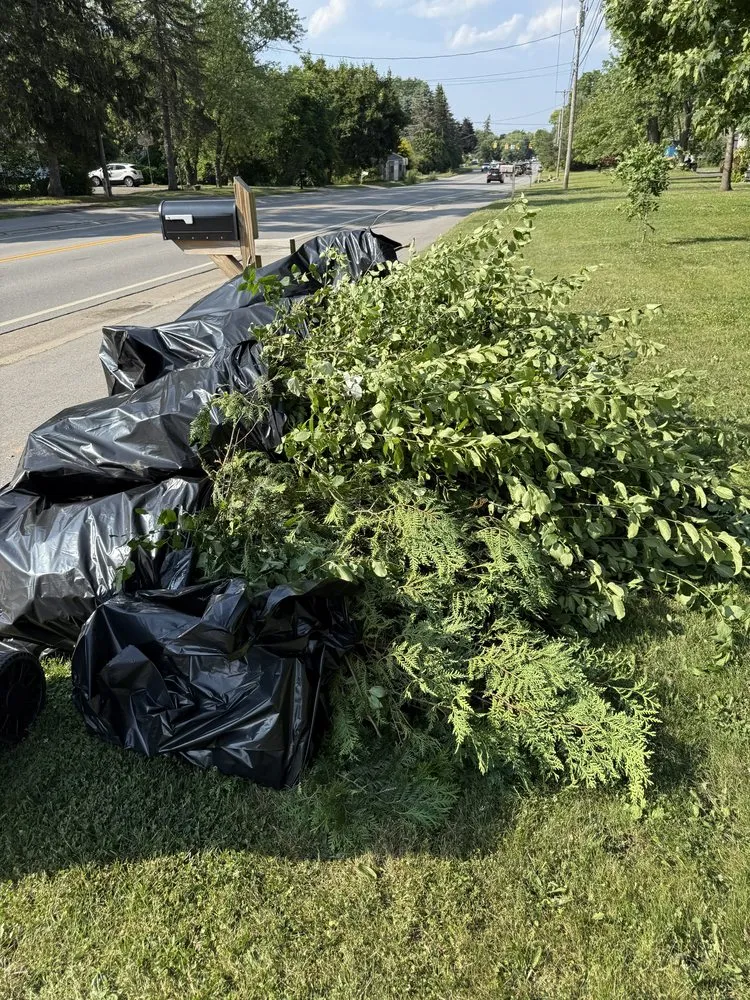 Slide of Alex Renovation