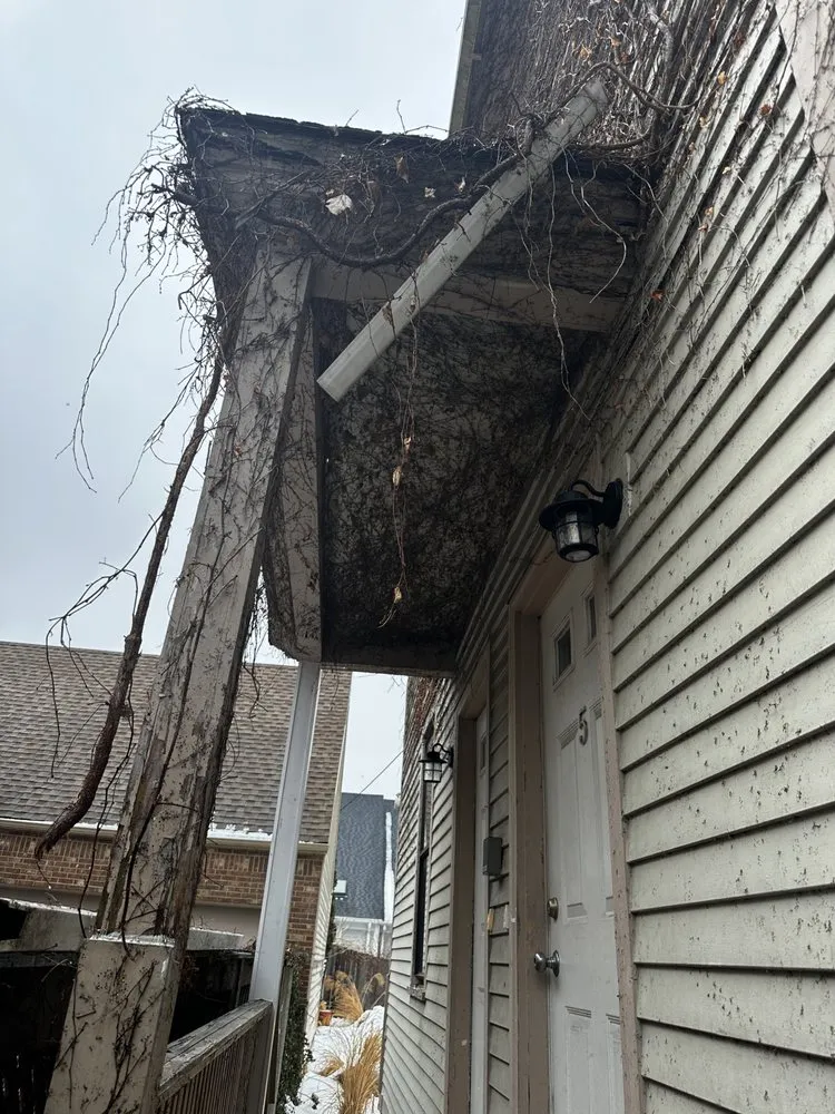 Slide of Alex Renovation