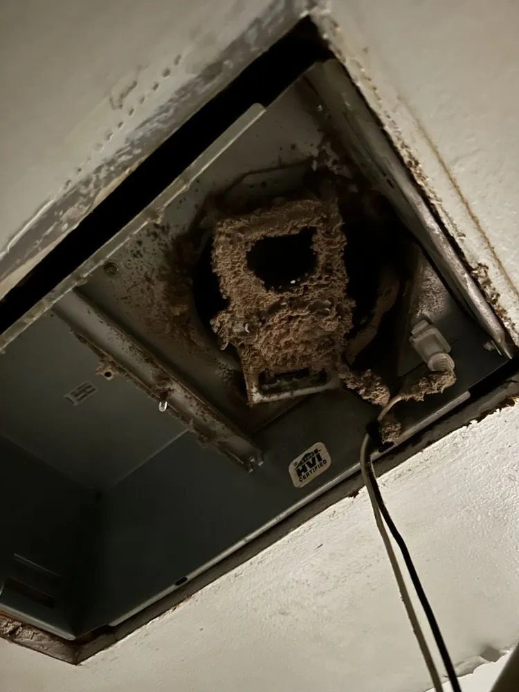 Slide of Alex Renovation