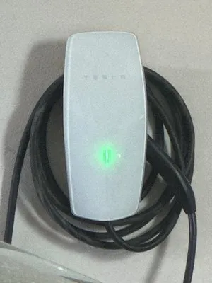 Alfaros's Electricity & Pool Service/Repair Logo