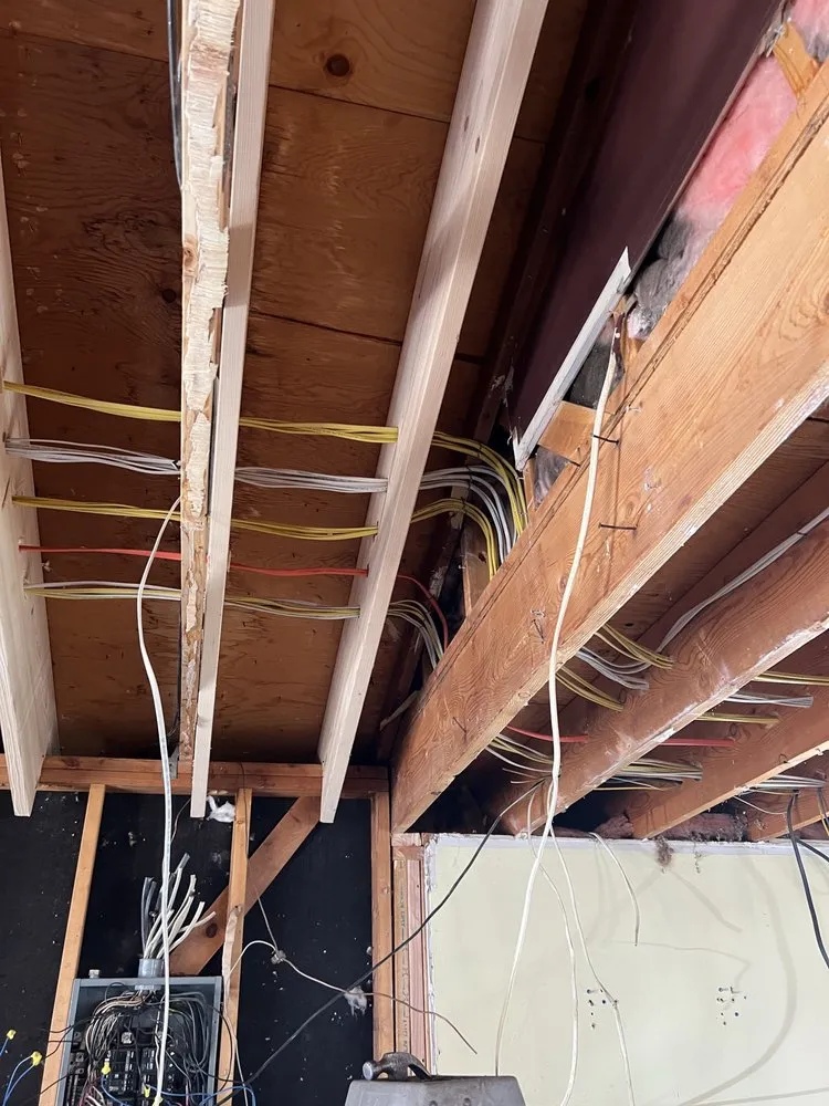 Slide of Alfredo Electric