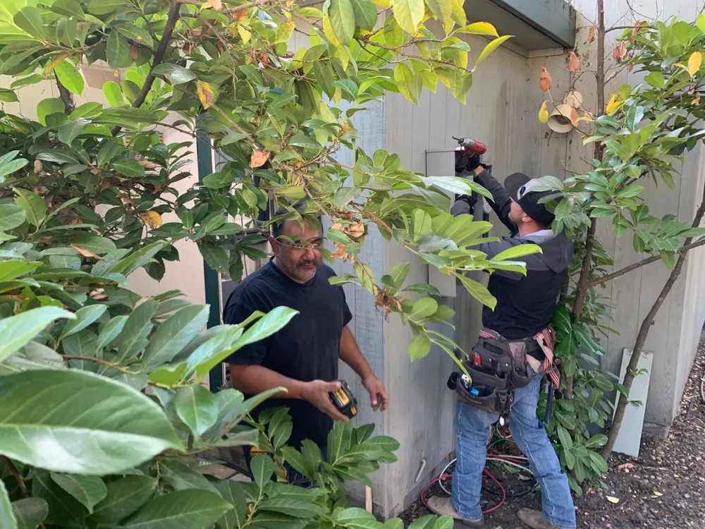 Slide of All About Electric