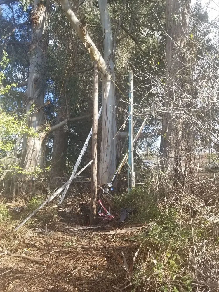 Slide of All About Electric