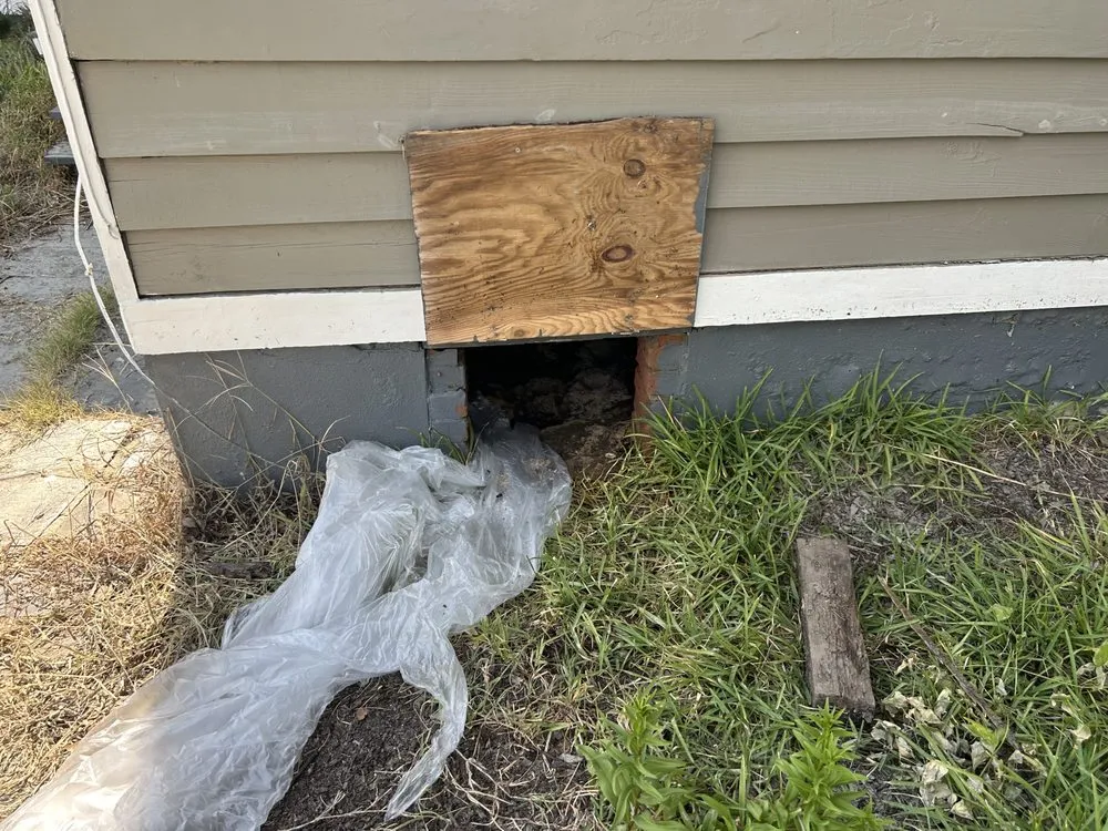 Slide of All About Electric