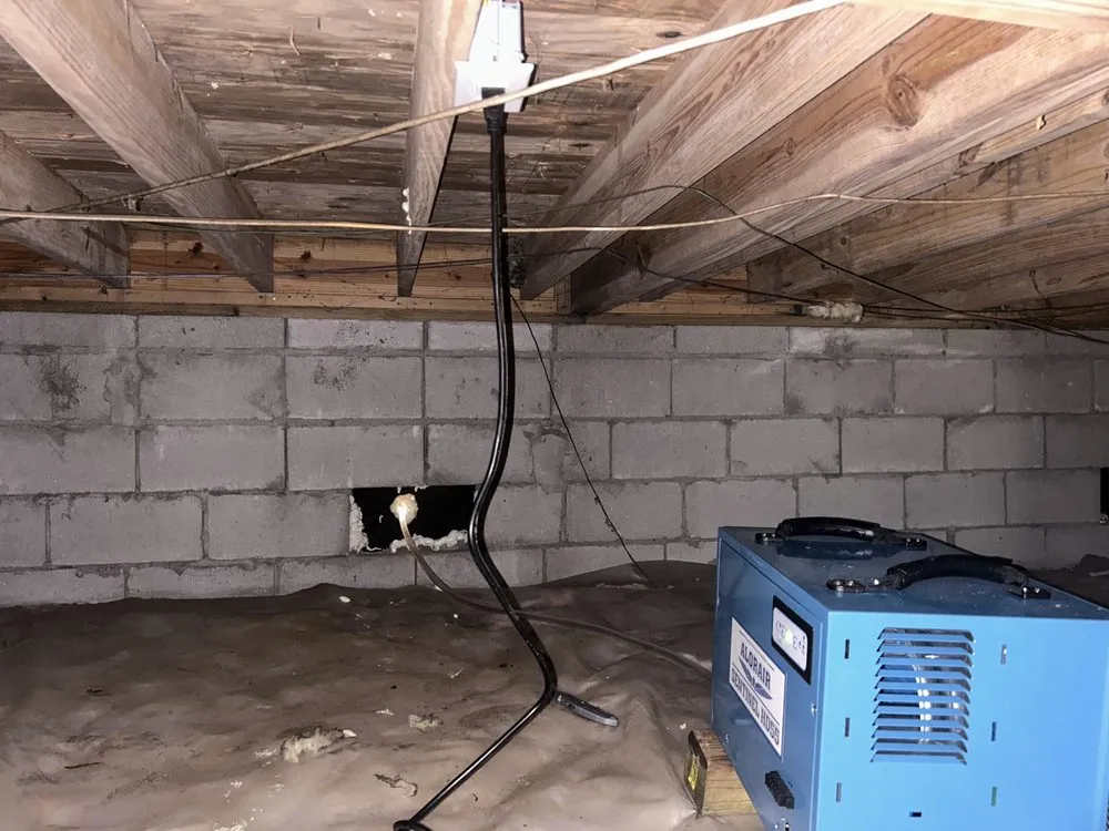 Slide of All About Electric