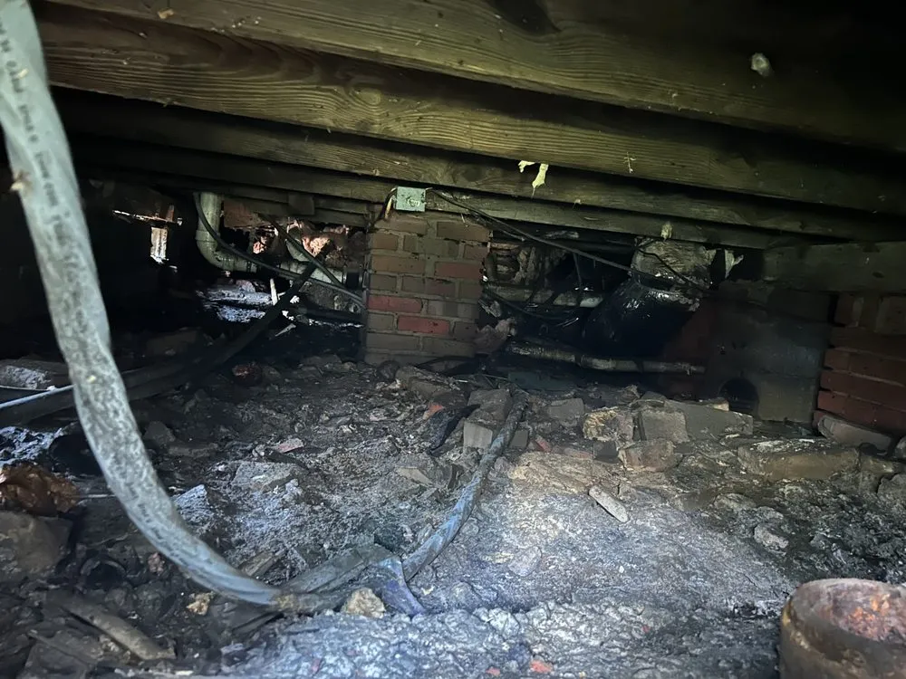 Slide of All About Electric