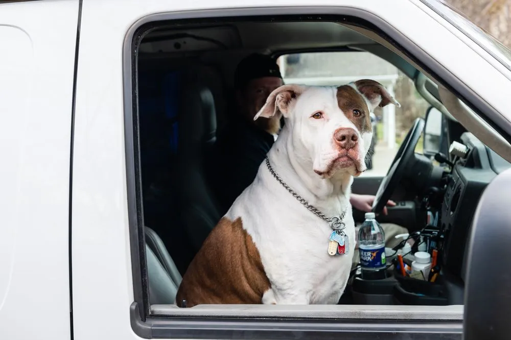 Reliable panel upgrade service in ,  - All American Electric