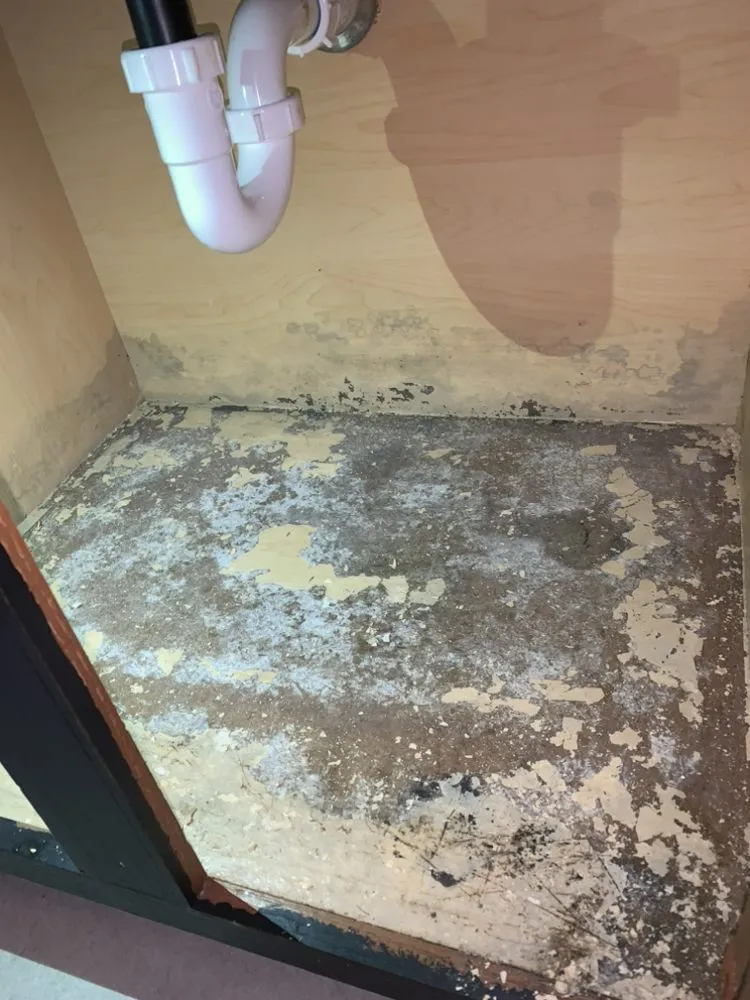 Slide of All Around Maintenance