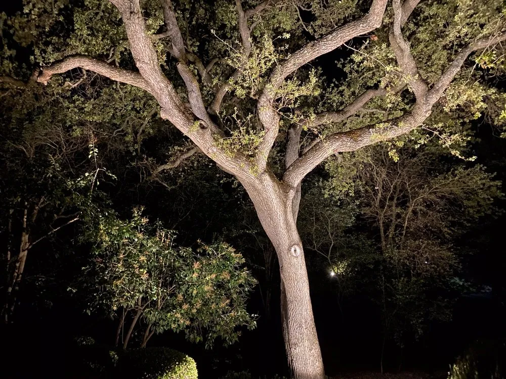 Slide of All Bright Electric